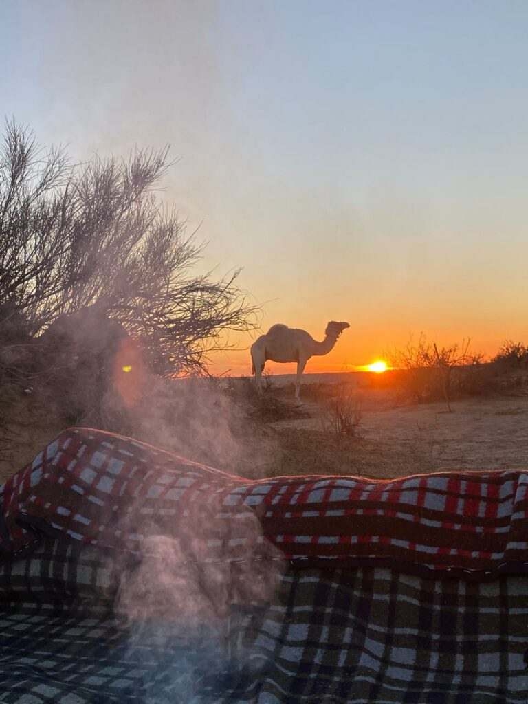 WhatsApp Image 2026-03-17 at 8.59.46 AM